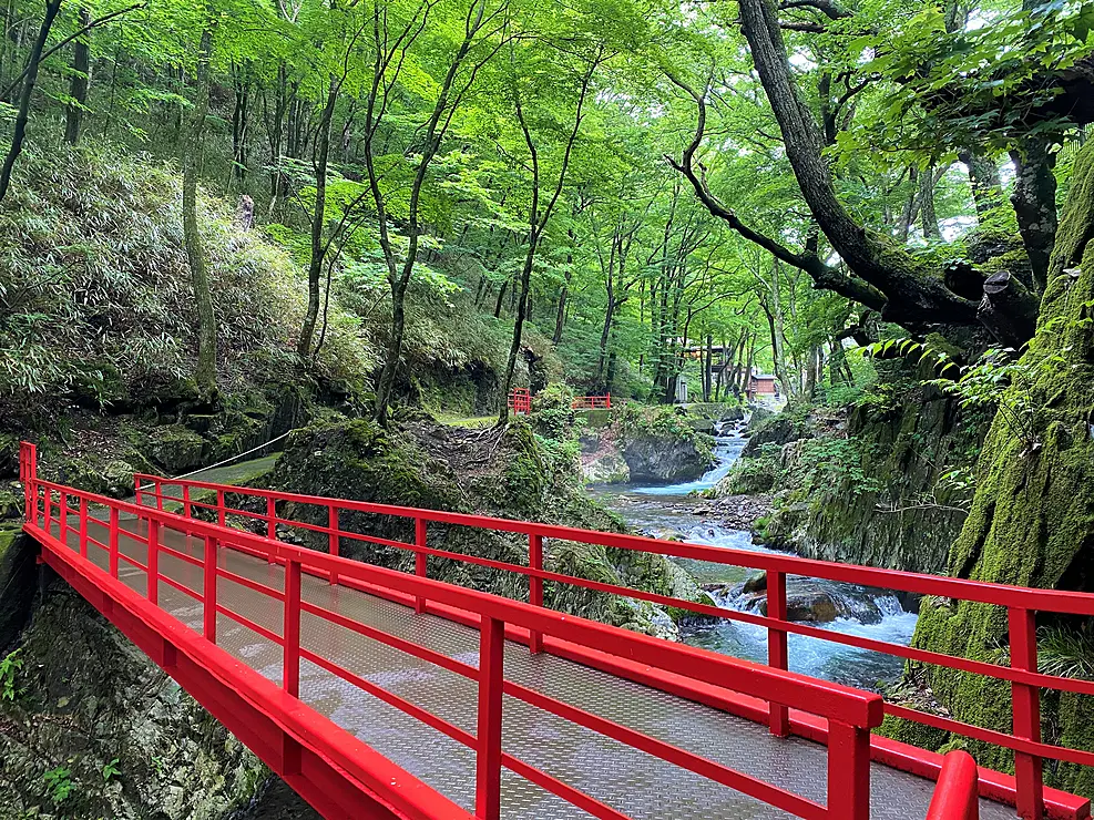 森の中にかかる赤い橋