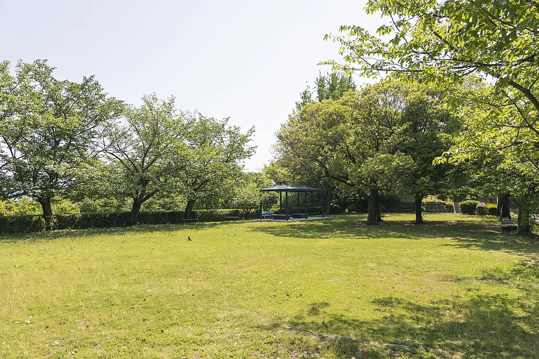 新緑の横浜公園