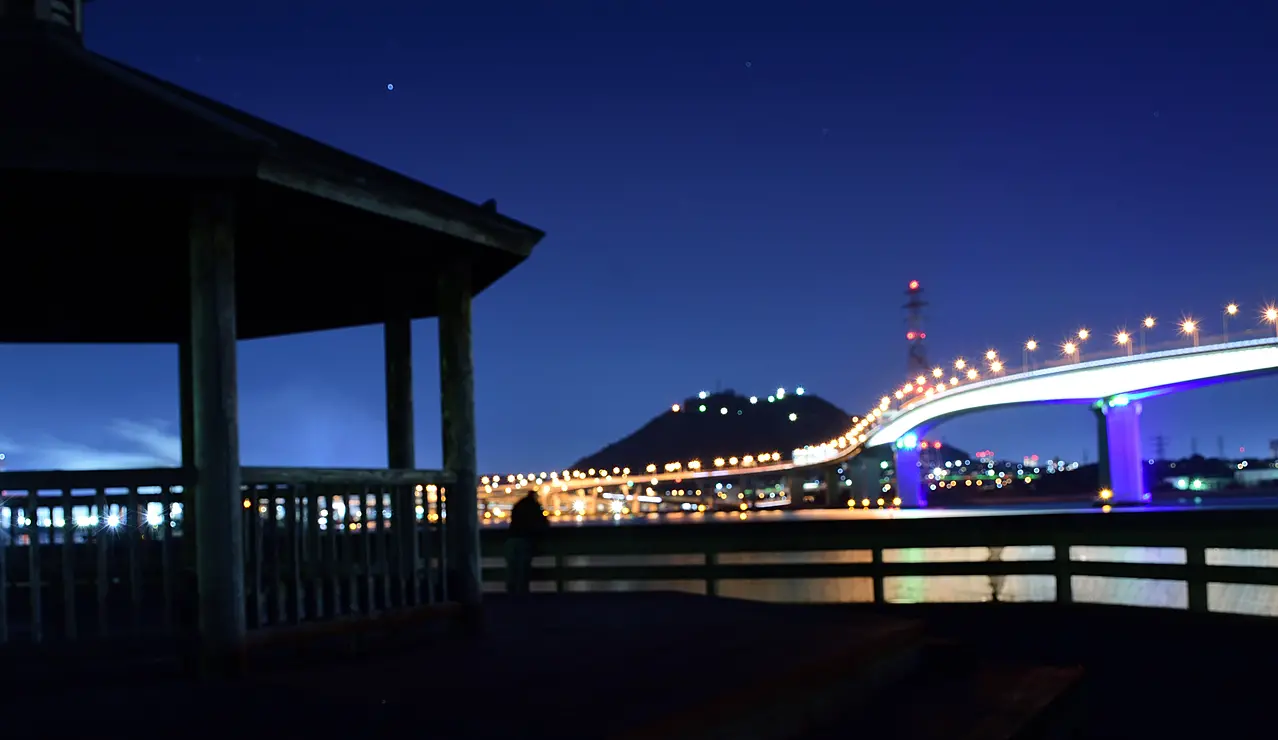 海田大橋の美しい夜景が広がる