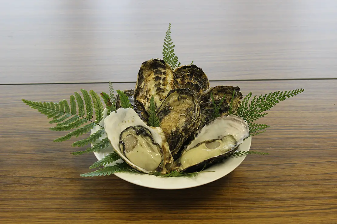 広島カキがお皿に盛られている