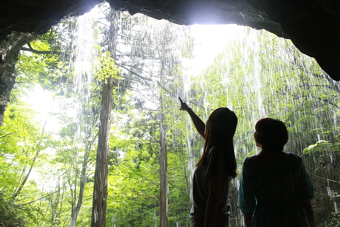 岩井滝の内側から森を望む