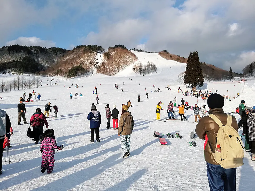 恩原高原でスキーを楽しむ人々