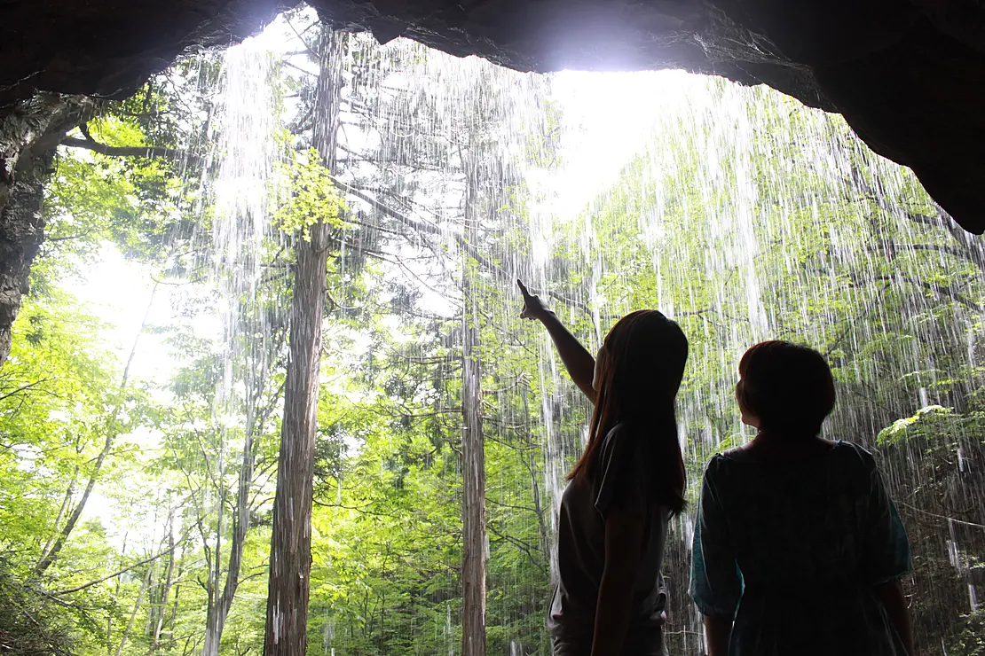 岩井滝の内側から森を望む