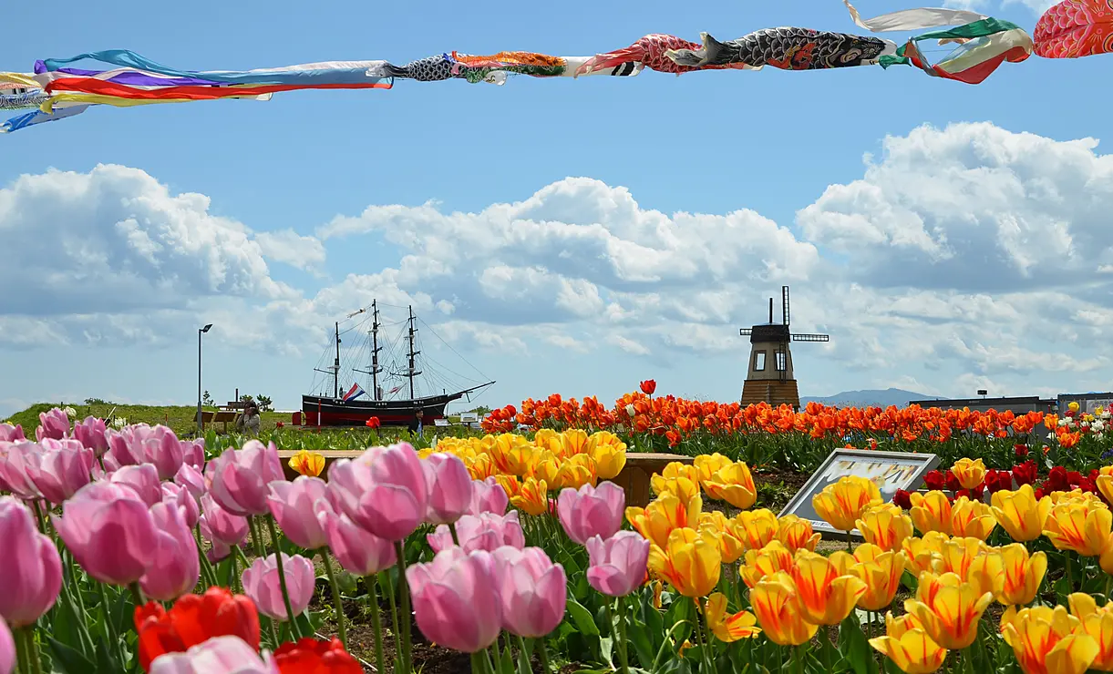 船とチューリップ