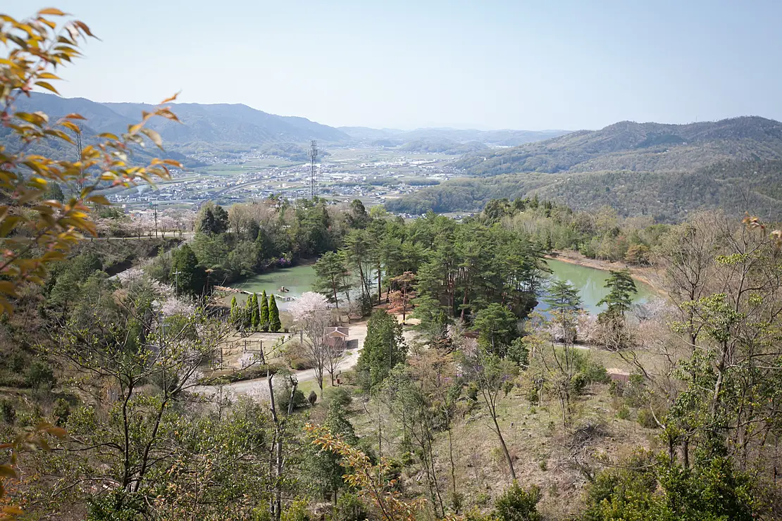 亀島キャンプ場全景