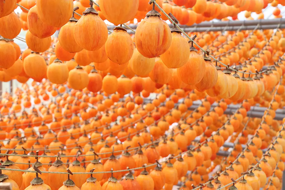 たくさん吊るされた干し柿