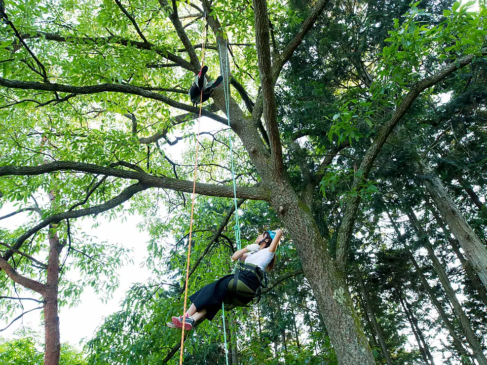 ツリークライミングを楽しそうにしている2人