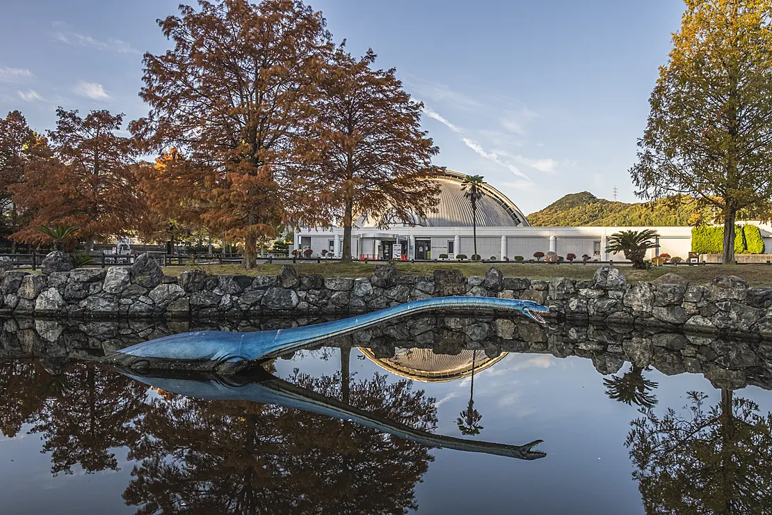 カブトガニ博物館