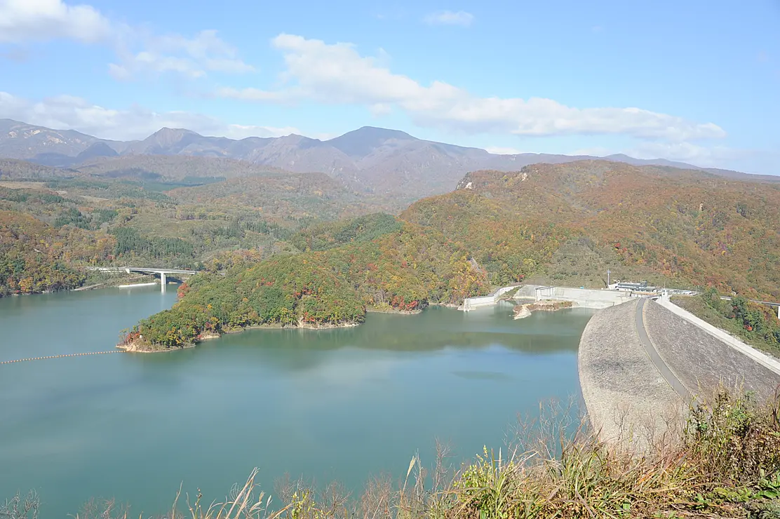 ダム湖と紅葉した森林