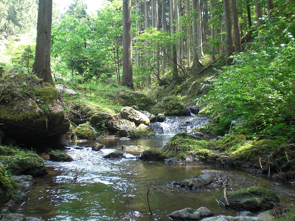 冷涼な滝やカツラ・アベマキなどの雑木林が広がる、シデ山中腹の風景写真