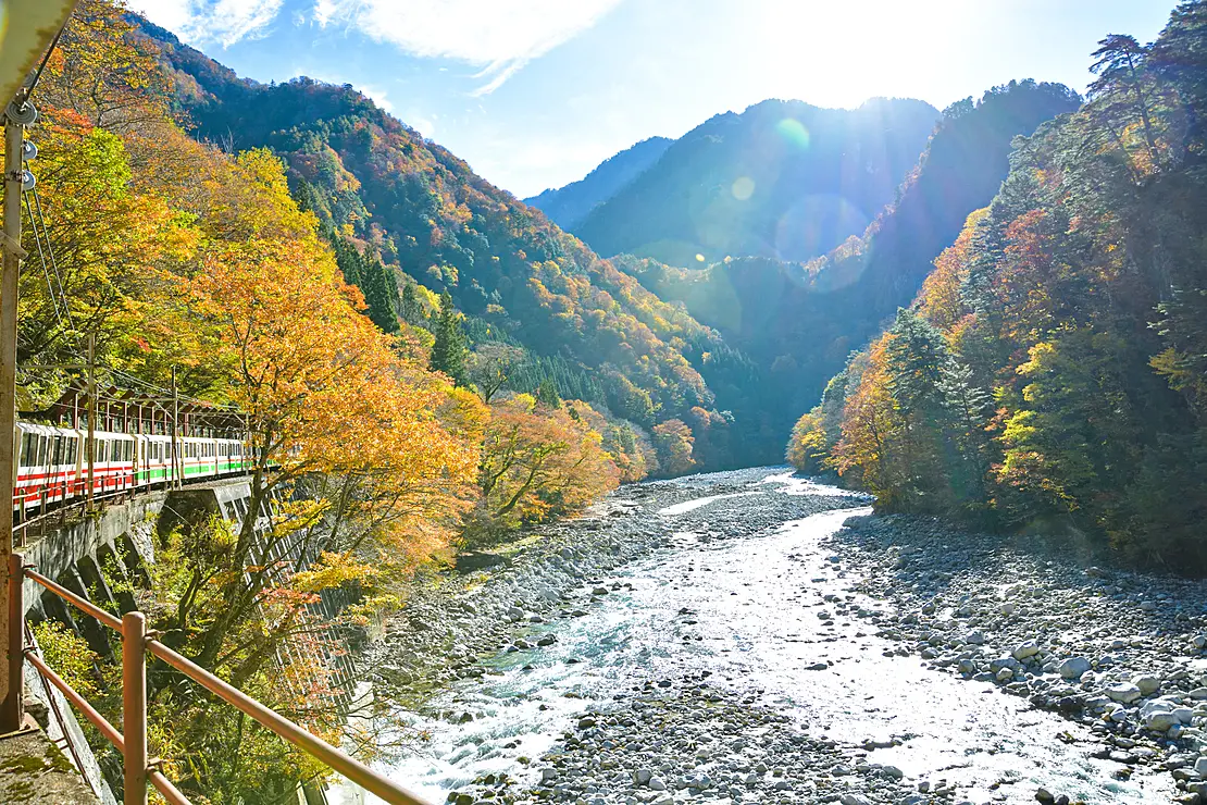 車窓から眺める紅葉と黒部川