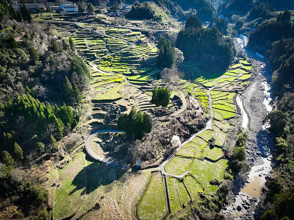 日本の棚田百選に選ばれた、斜面に広がる何十枚もの松谷棚田の風景