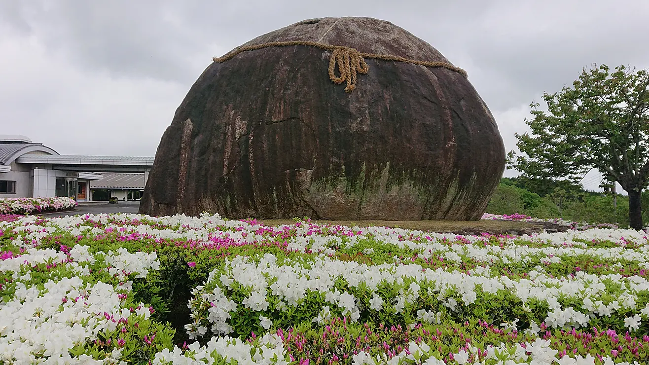 白とピンク色の花が咲いているツツジの植え込みの向こうに、しめ縄が掛けられた巨大な丸い岩が安置されている