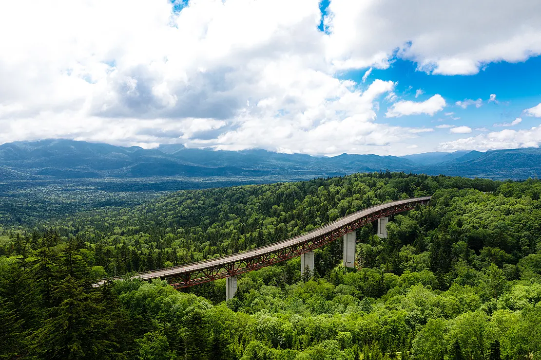 樹海の中にかかる赤い橋