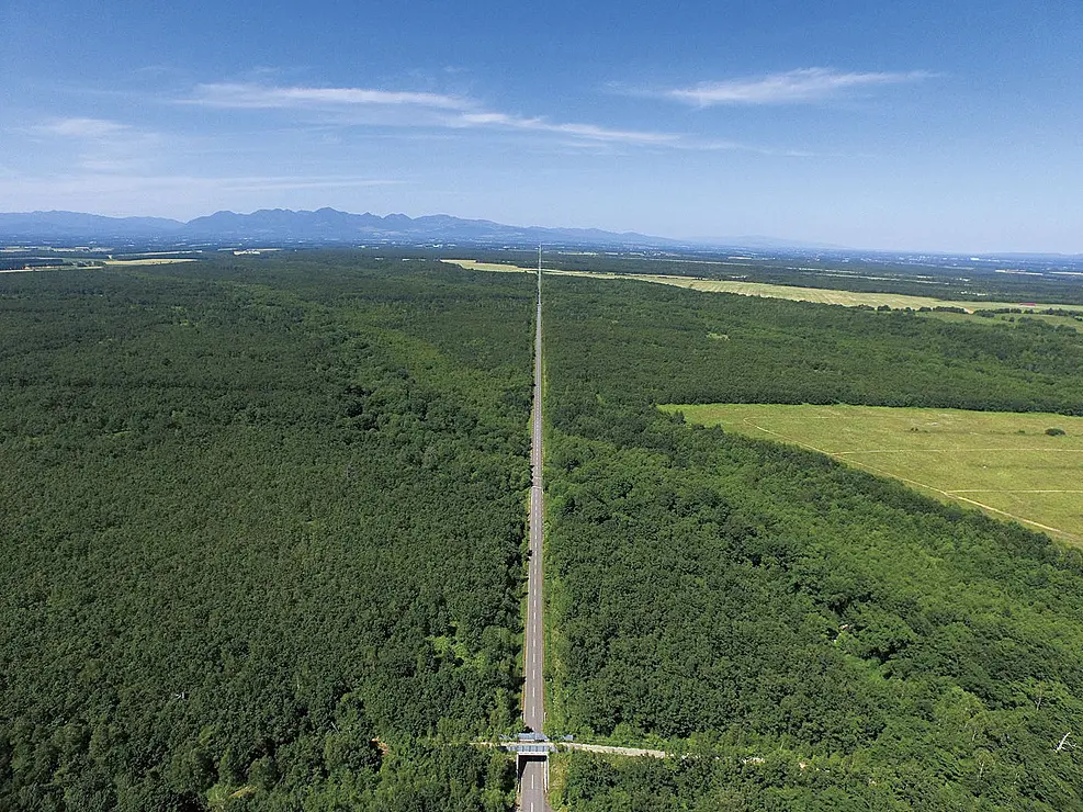 畑の中の一本道