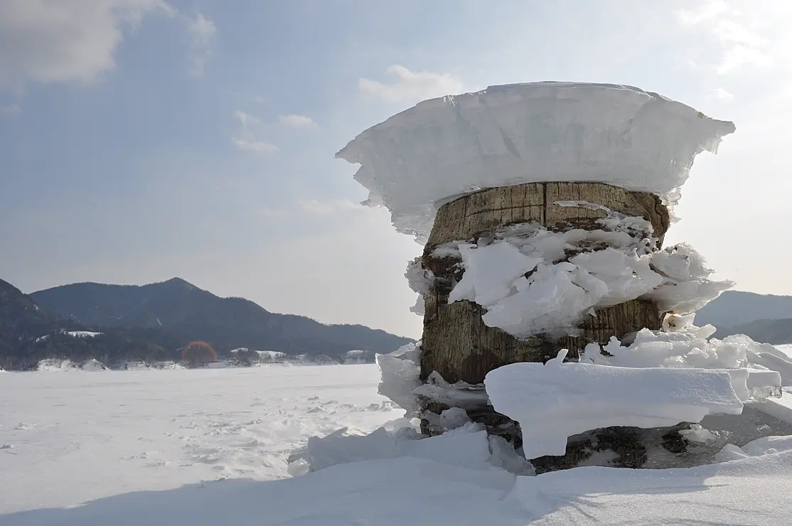 切り株の上に雪が乗っている