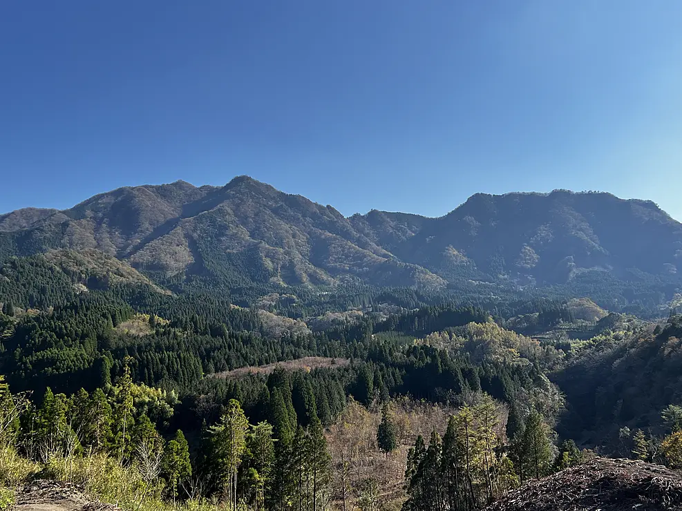 祇園山の緑豊かな山々と青空が広がる風景