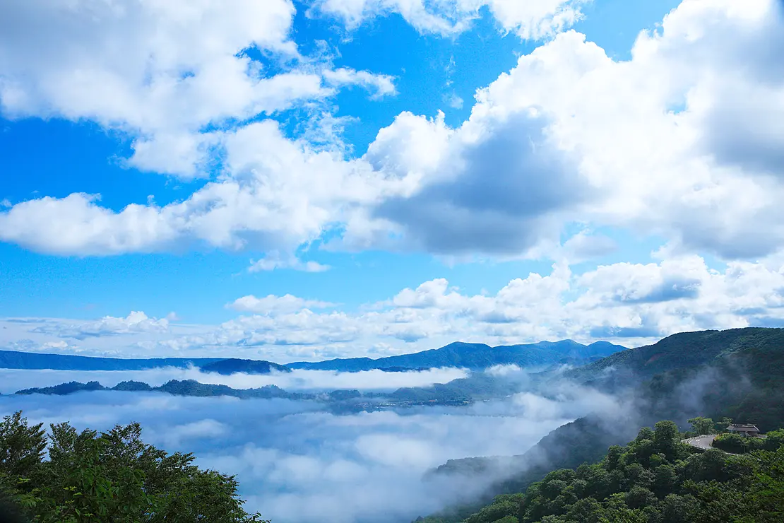 湖に立ち込める霧