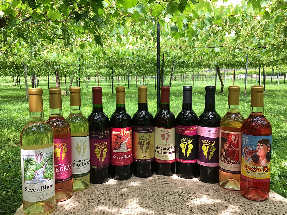 ぶどう畑の中に並べられたワインボトル