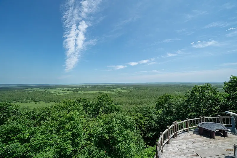 湿原に立つ展望台