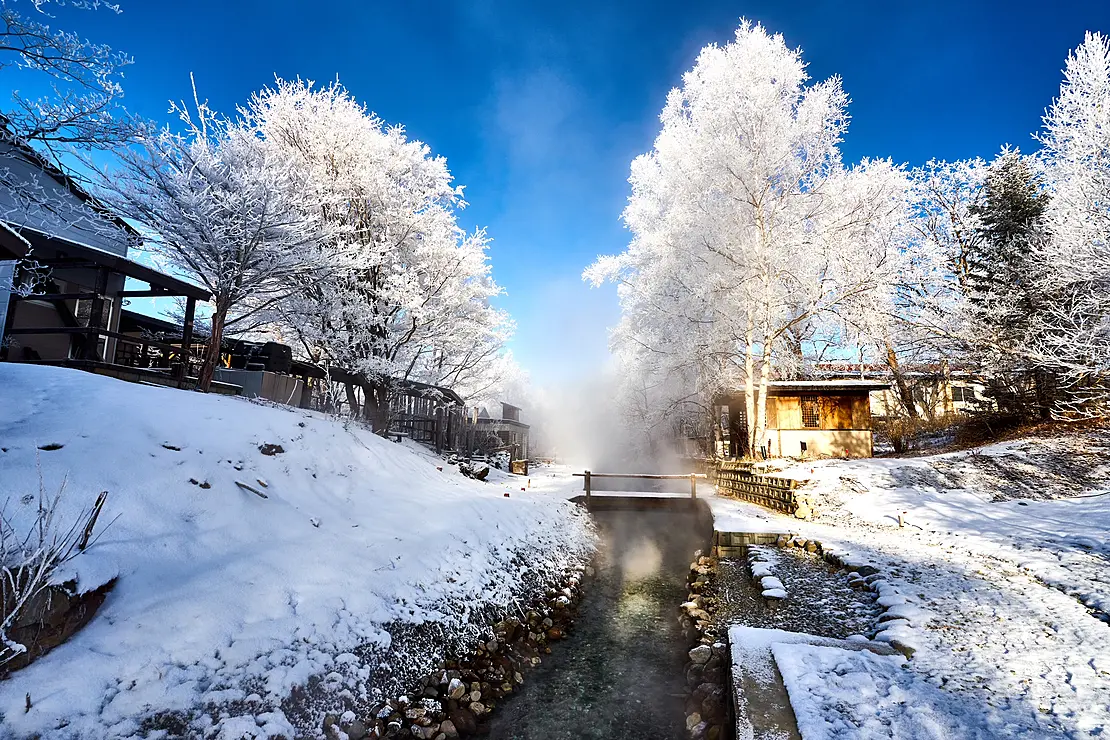 雪の中の温泉街