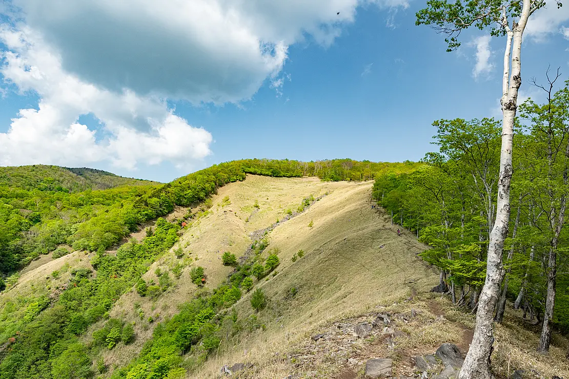 新緑の山肌と稜線