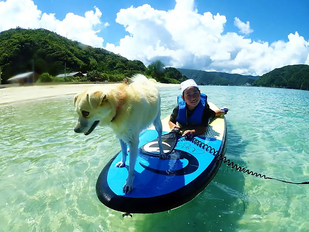 青いSUPボードに乗って海に浮かぶ犬と人
