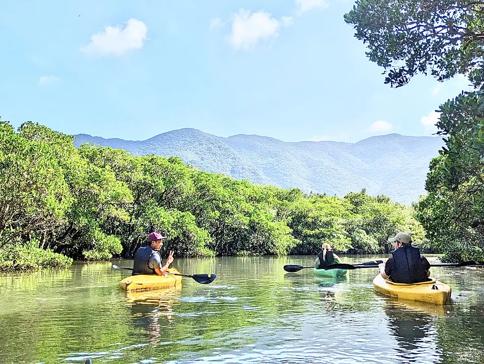 マングローブの林の中を、カヌーに乗った人々がパドルで漕いで進んでいる様子