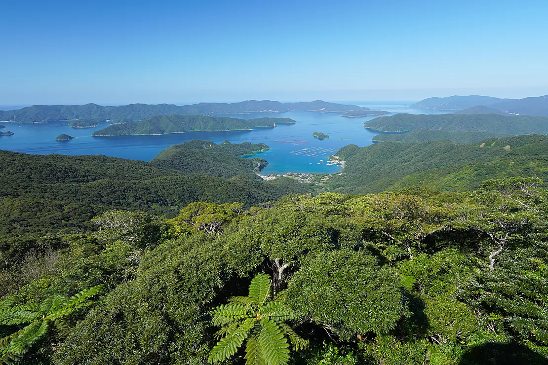 緑の木々が生い茂る高台から、リアス海岸の大島海峡と複数の島々（加計呂麻島、請島、与路島など）を一望した写真