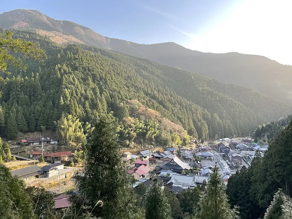 山間に広がる集落と、山肌を覆う濃い緑の杉林