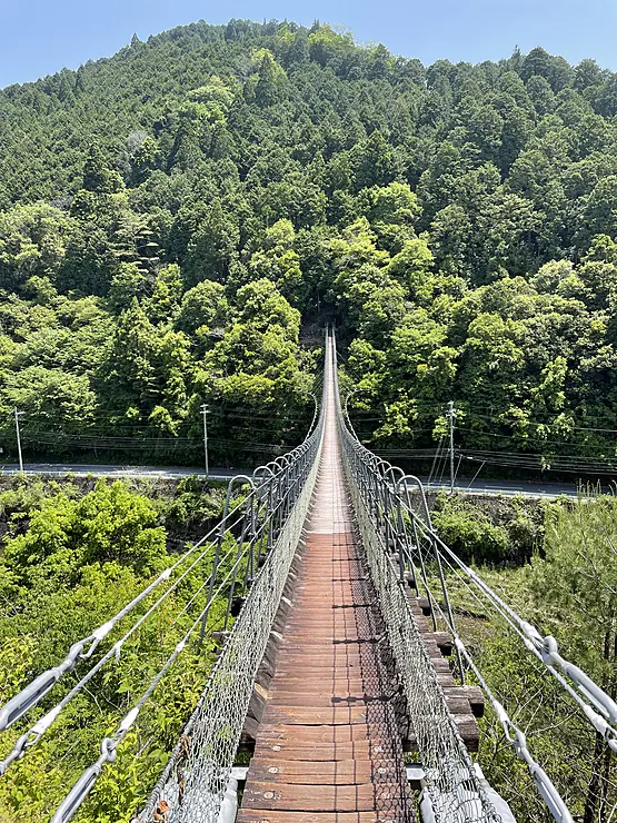 山の間を渡した細い吊橋　吊橋が伸びる対岸の斜面は濃い緑の森林でおおわれている