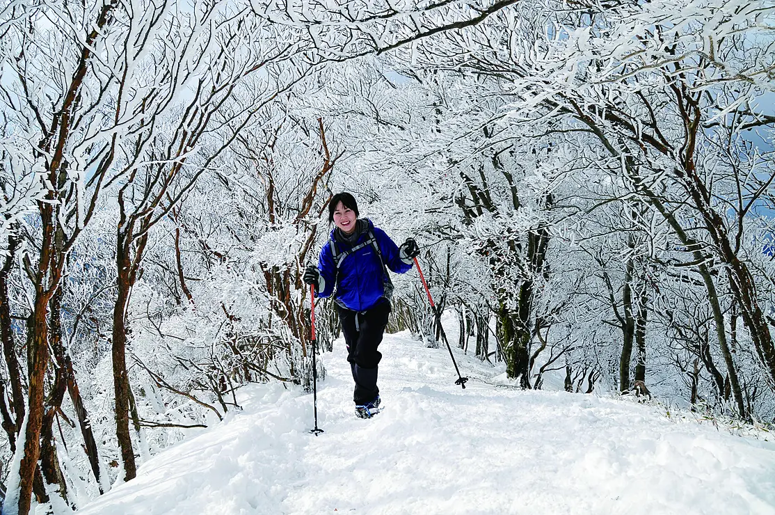 霧氷の木々の間を、雪の積もった斜面をこちらに向かって歩く女性