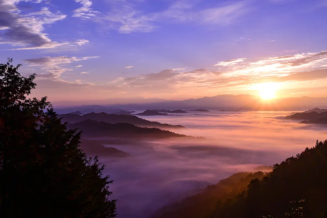 朝日に照らされて橙色に染まる雲海