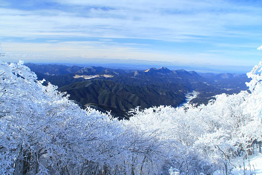 霧氷の付いた木々の梢の向こうに雪化粧をした山並みを望む
