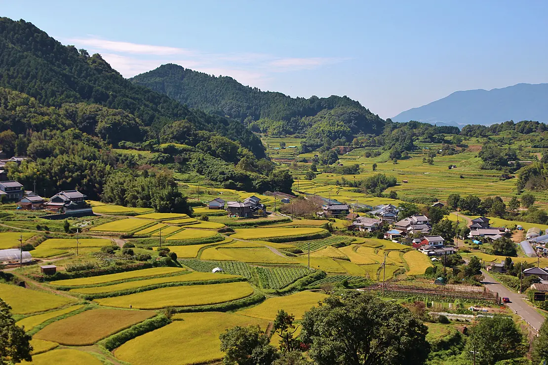 山裾に広がる棚田と民家