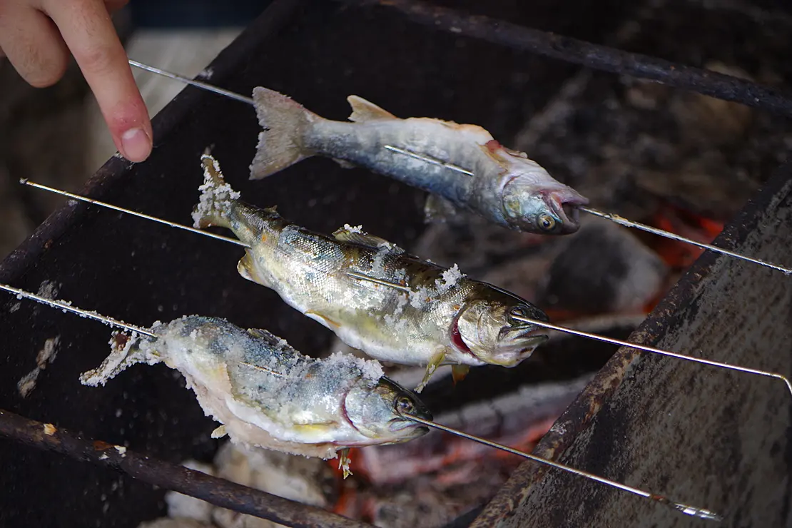 炭火で塩焼きにされる鮎