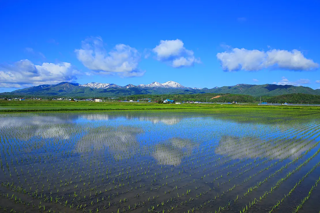 水田に映る空と雪の被った山々