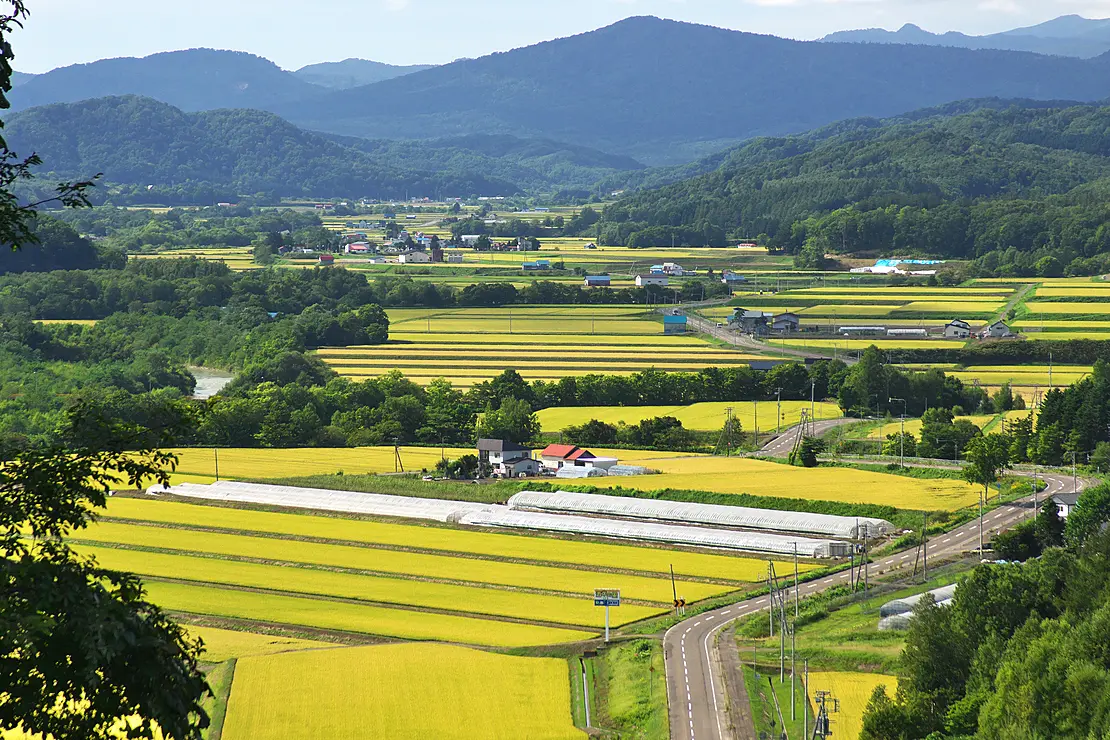 山間の田園風景