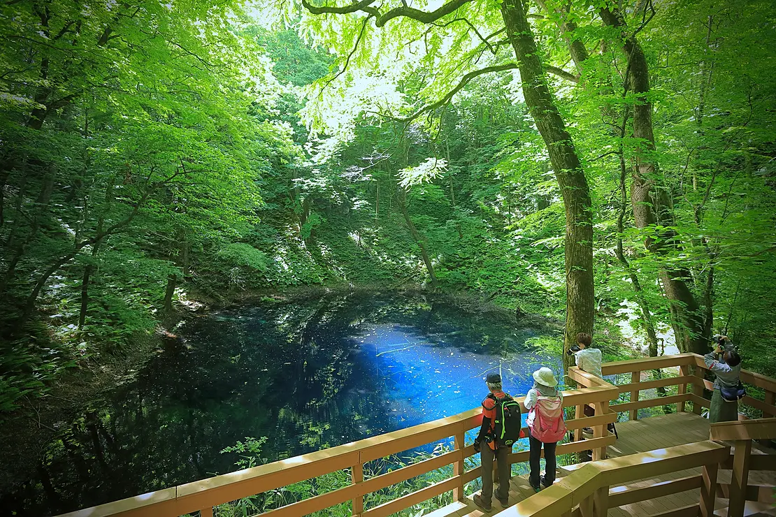 フレンドエリア 白神山地（鰺ヶ沢、深浦、西目屋、弘前）｜モンベル