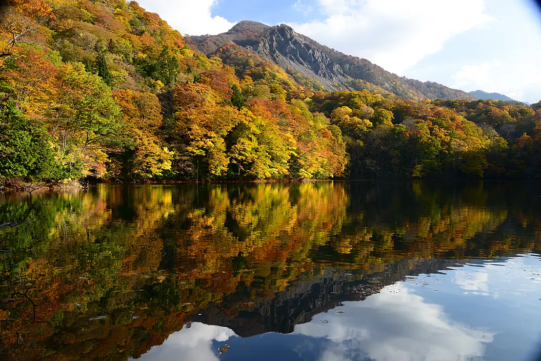 黄色く色づいたブナ林と湖
