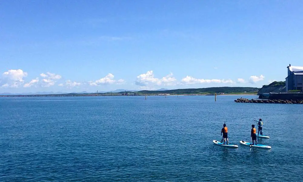 海でSUPをする人々