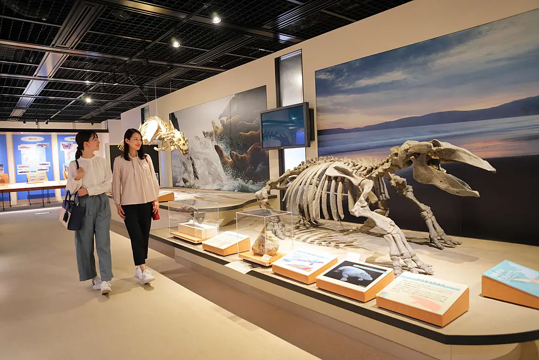 展示物を見てまわる人たち