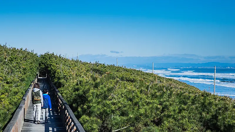 海岸を望むボードウォークを歩く親子