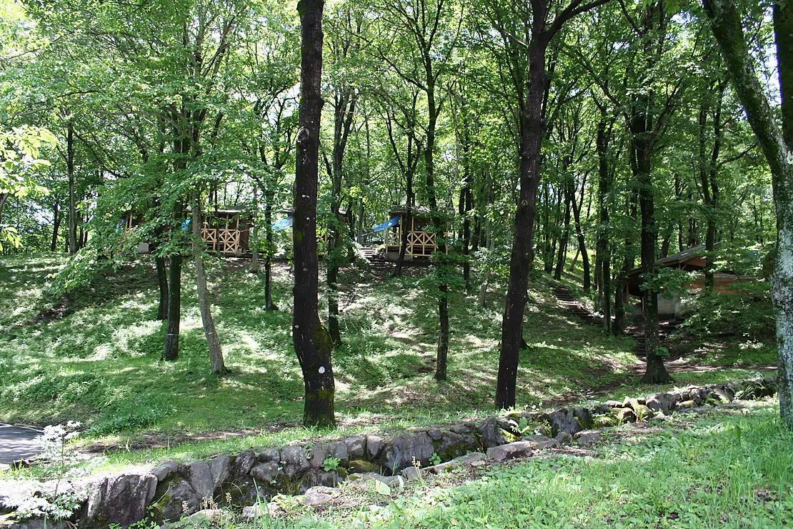 緑の木々に囲まれたキャンプ場