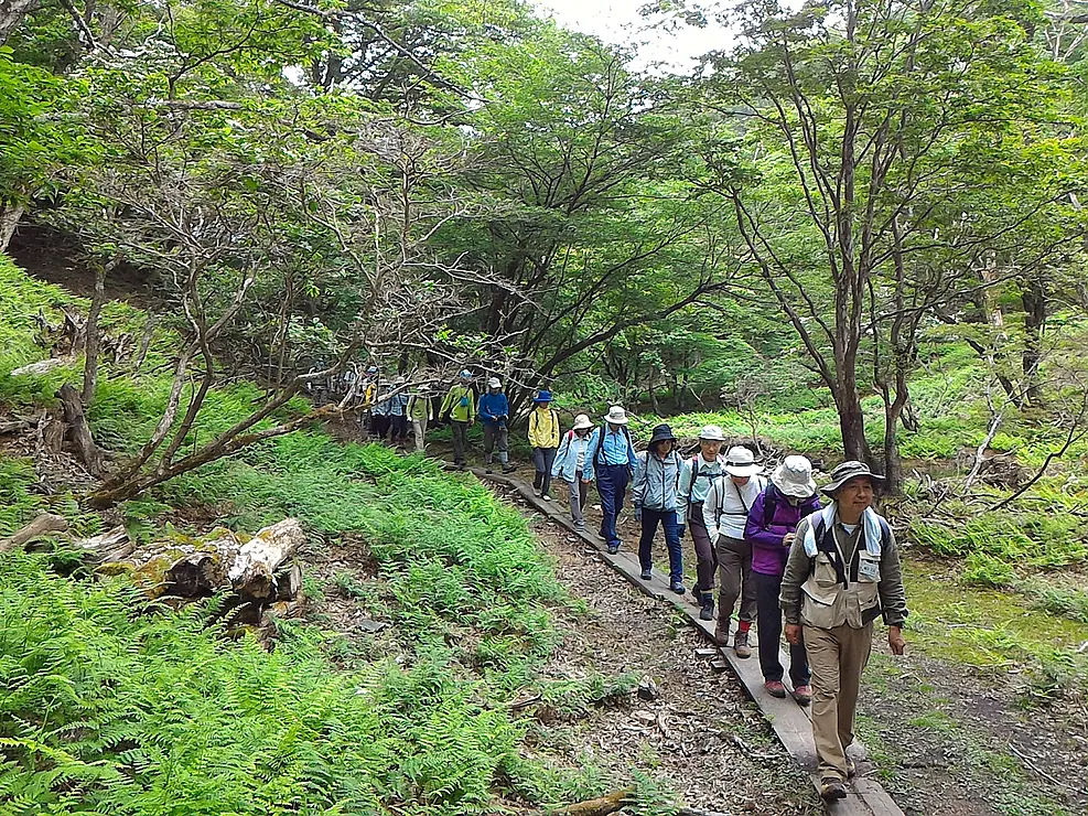 八丁平湿原の遊歩道を歩く人々
