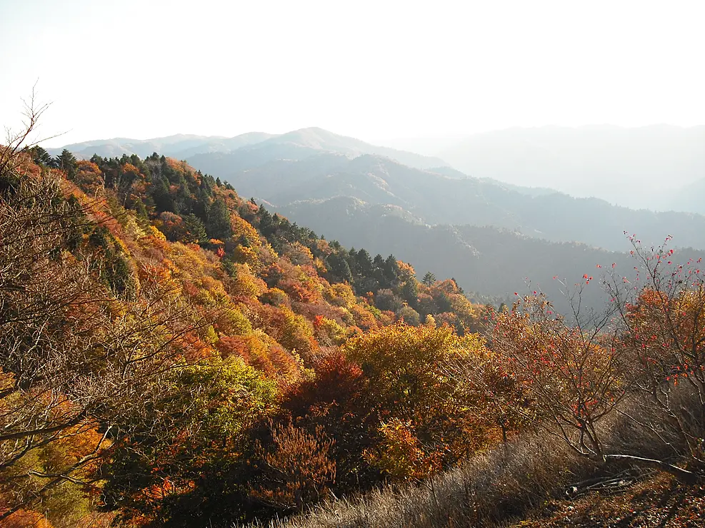 秋色に染まった山並みの風景