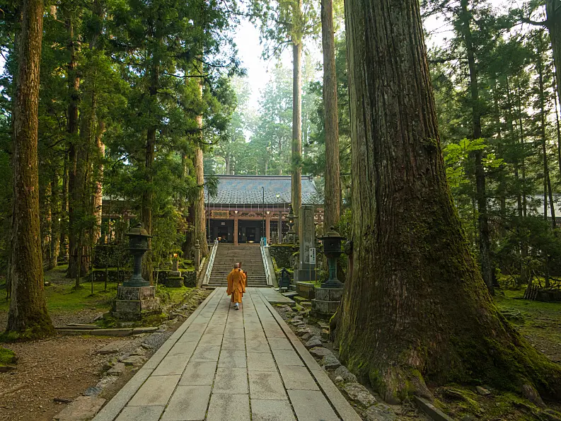 杉の巨木の間、奥に見える木造の寺院に向かって橙色の袈裟を着た僧侶が石畳の参道を歩いている