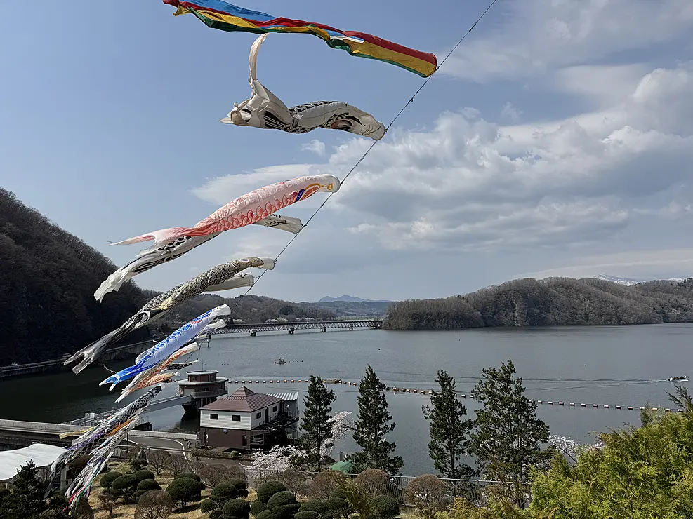 湖畔で泳ぐ鯉のぼり