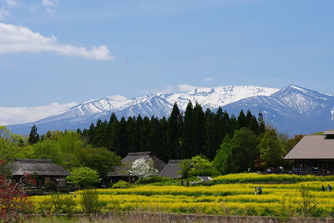 里山の風景の後ろにそびえる山