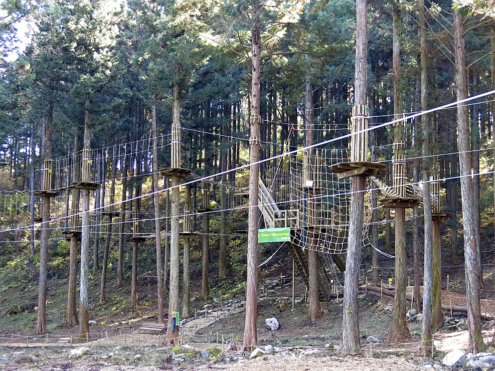 樹の上のアスレチックコース